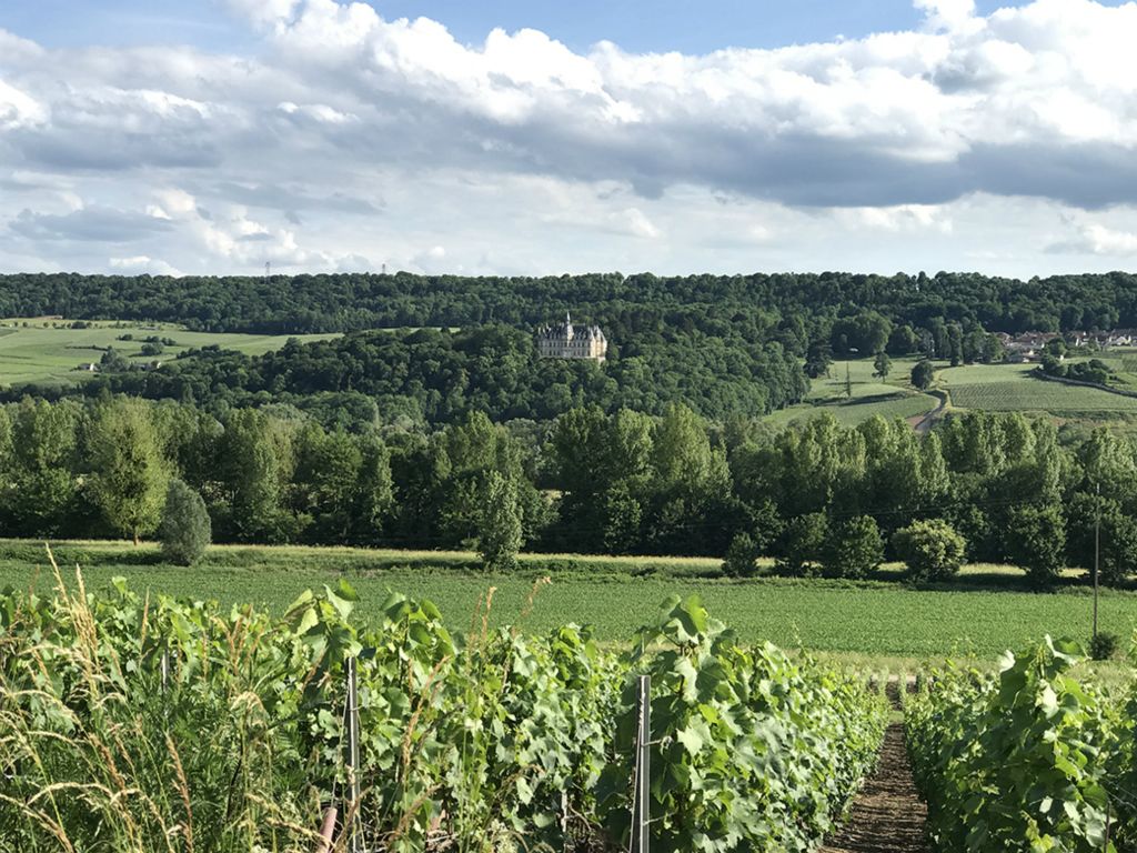 Château de Boursault (in the background) built between 1843 and 1850 by Madame Clicquot Ponsardin, the Veuve Clicquot who owned the Veuve Clicquot champagne house.
